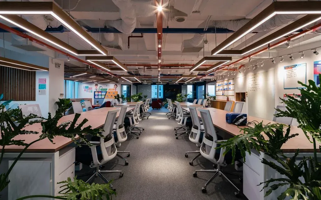 Gallery image 12